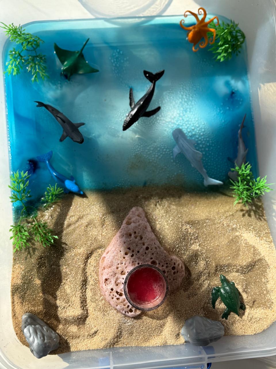 My Ocean Adventure Sensory box