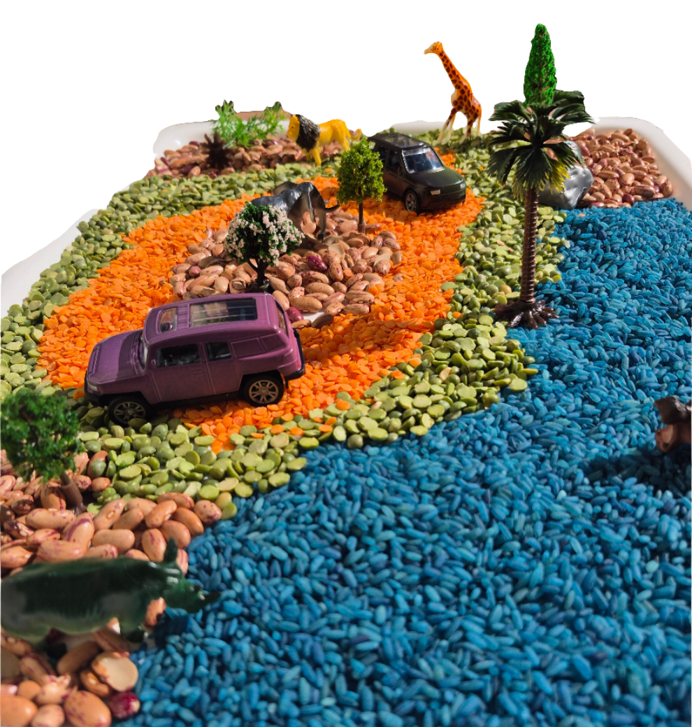 My Safari Adventure Sensory Box