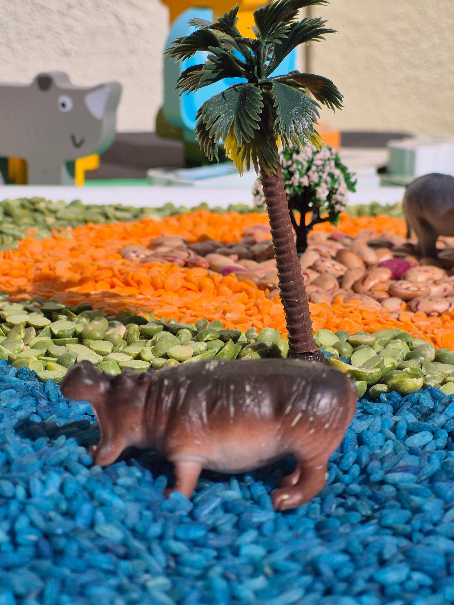 My Safari Adventure Sensory Box