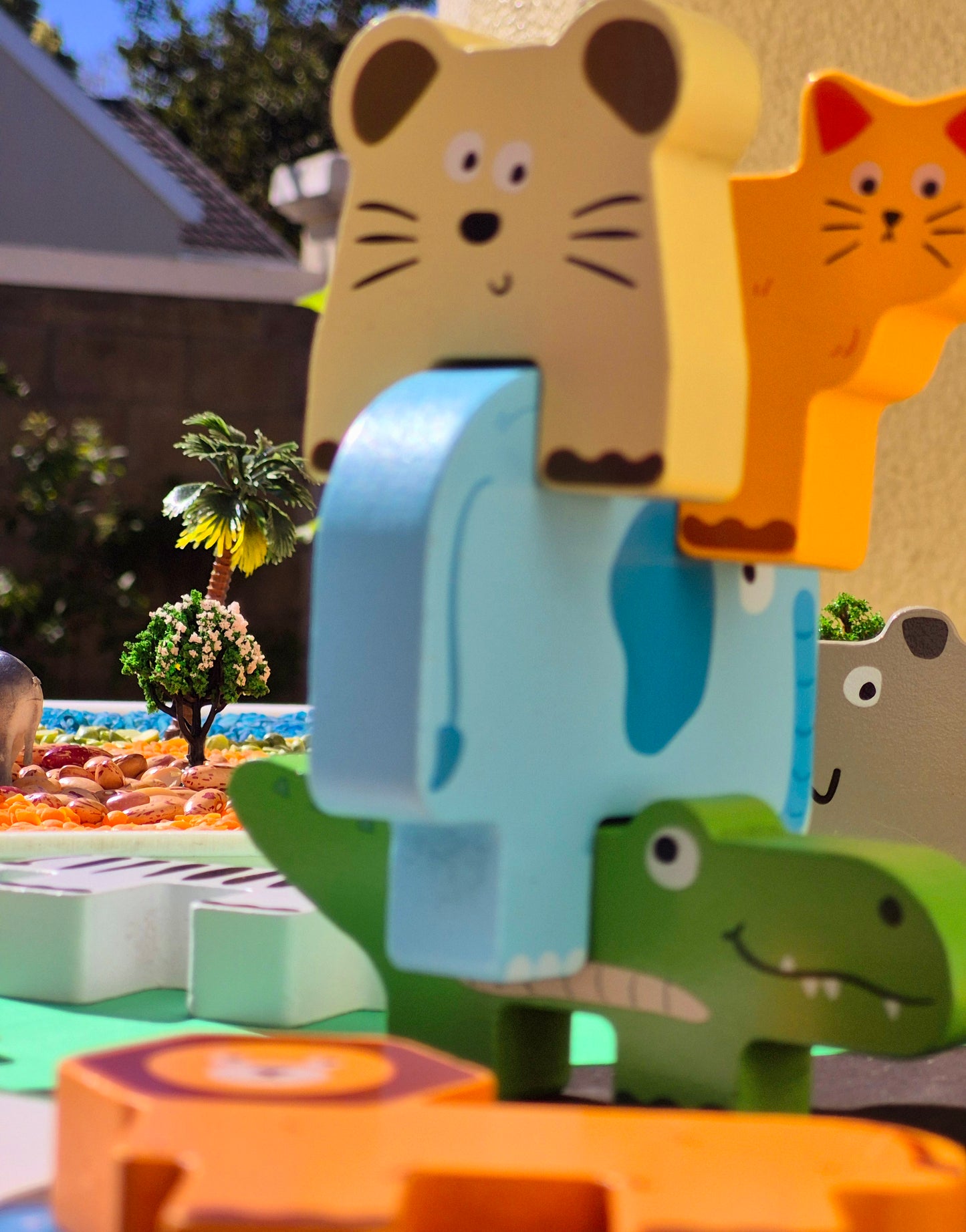 My Safari Adventure Sensory Box