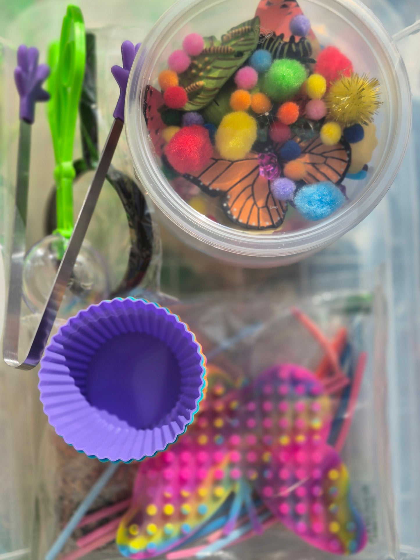 My Butterfly Garden Creation Box