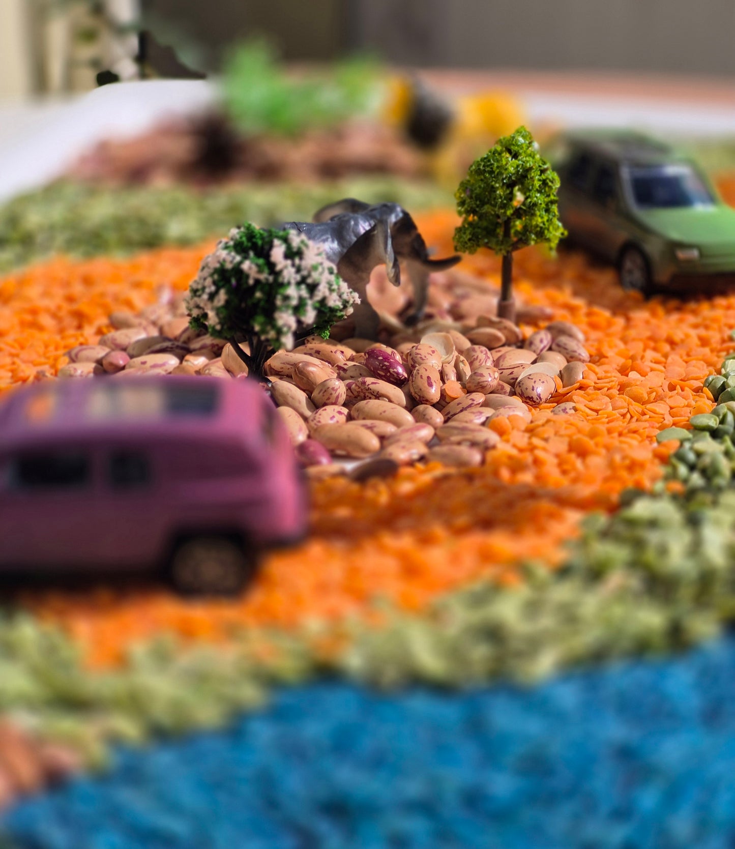 My Safari Adventure Sensory Box