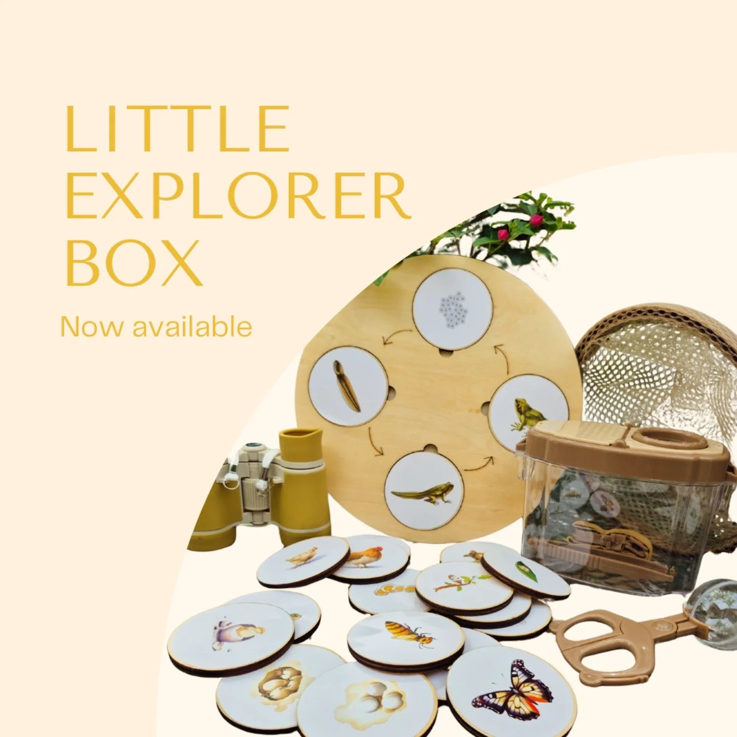 Little Explorer Box