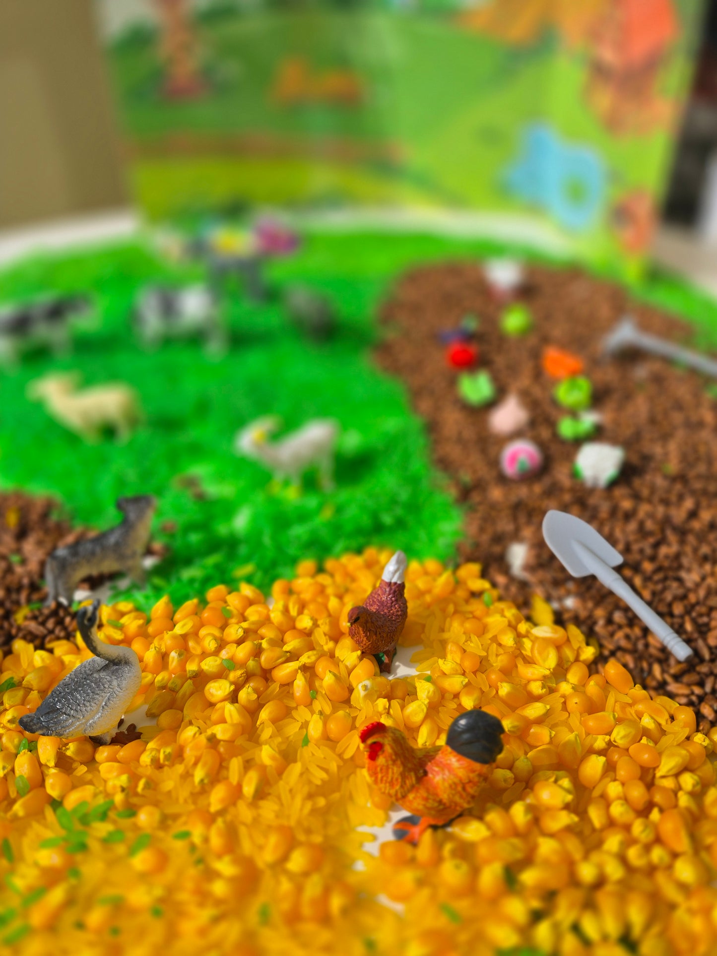 Little Farmer learning kit Sensory Box