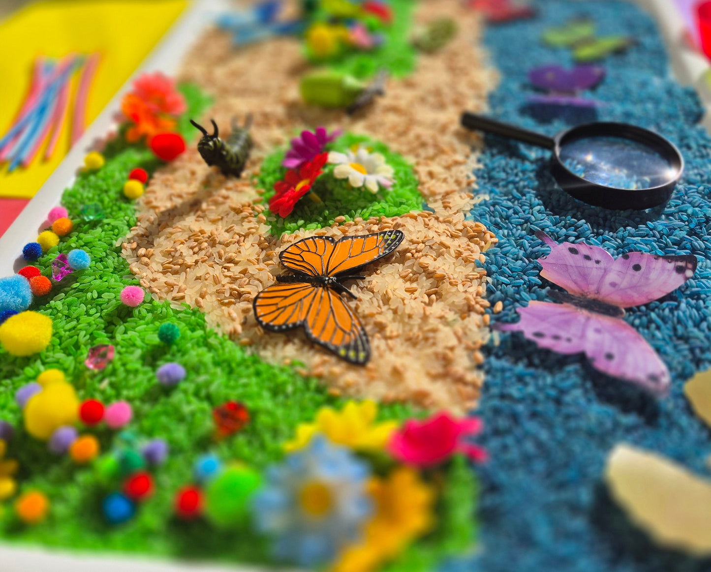 My Butterfly Garden Creation Box